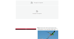 Desktop Screenshot of fwkites.com
